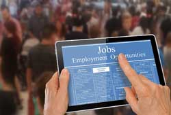 Employment website